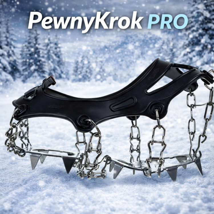 pewny krok pro1.png