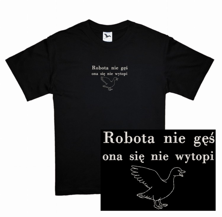 robota nie gęś.jpg